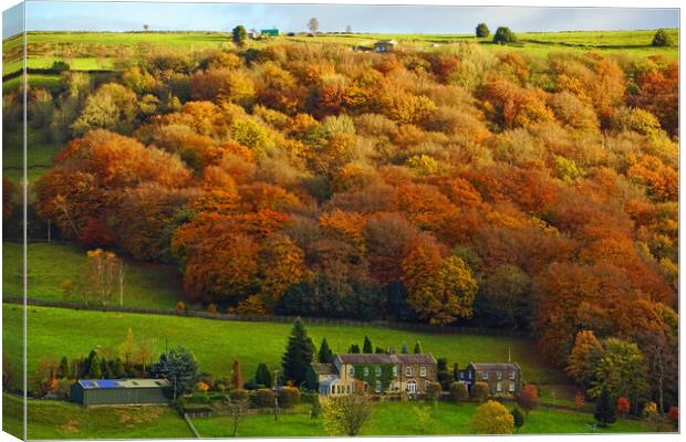 Autumn colour at Mytholmroyd, West Yorkshire. Canvas Print by David Birchall