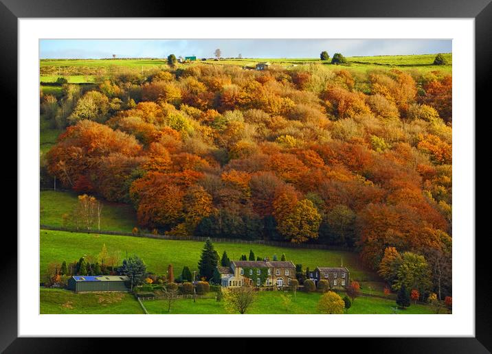 Autumn colour at Mytholmroyd, West Yorkshire. Framed Mounted Print by David Birchall