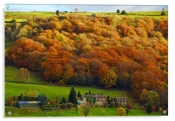 Autumn colour at Mytholmroyd, West Yorkshire. Acrylic by David Birchall