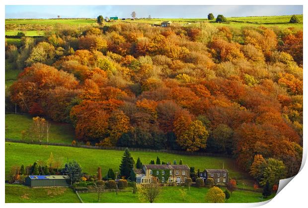 Autumn colour at Mytholmroyd, West Yorkshire. Print by David Birchall