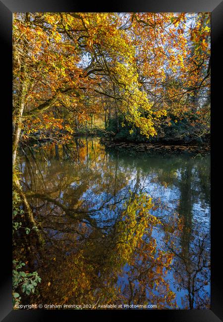 Reflections of Autumn Foliage Framed Print by Graham Prentice