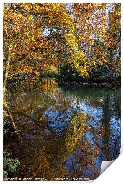 Reflections of Autumn Foliage Print by Graham Prentice
