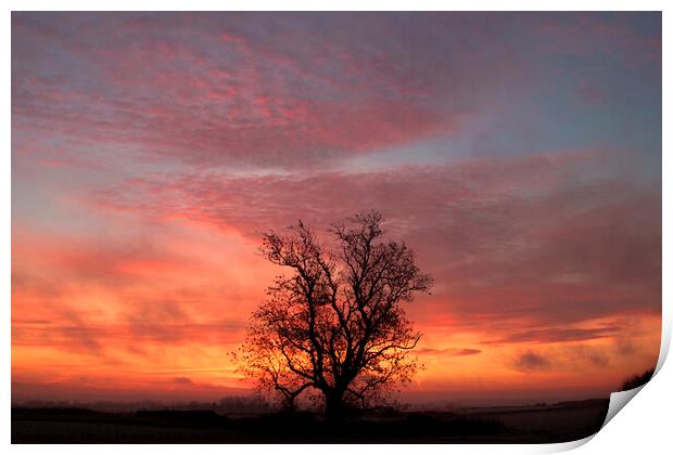 Cotswold sunrise Print by Simon Johnson