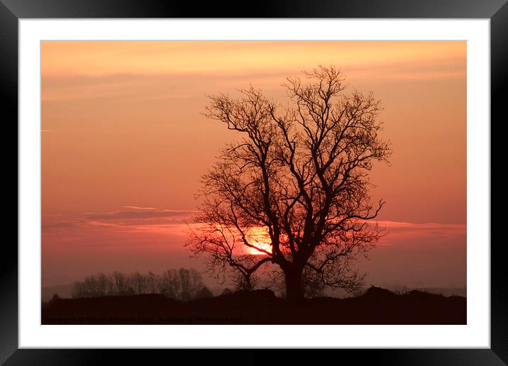 Tree silhouette Framed Mounted Print by Simon Johnson