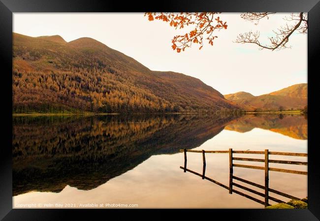 Warm reflections on the lake Framed Print by Pelin Bay