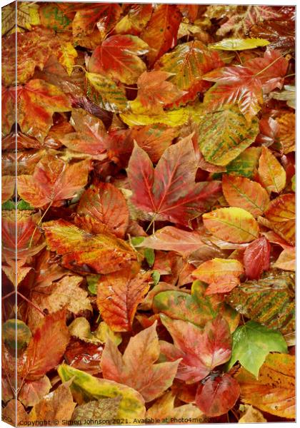 Autumn Leaves Canvas Print by Simon Johnson
