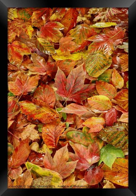 Autumn Leaves Framed Print by Simon Johnson