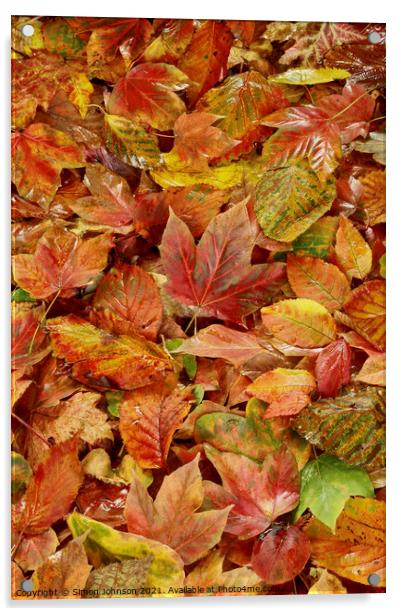 Autumn Leaves Acrylic by Simon Johnson