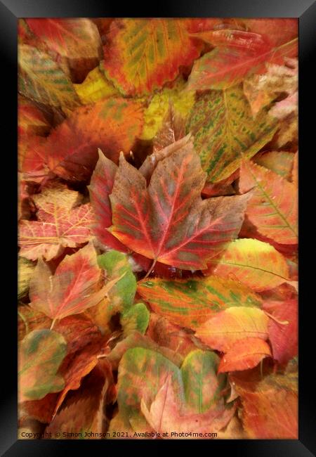 autumn leaves Framed Print by Simon Johnson