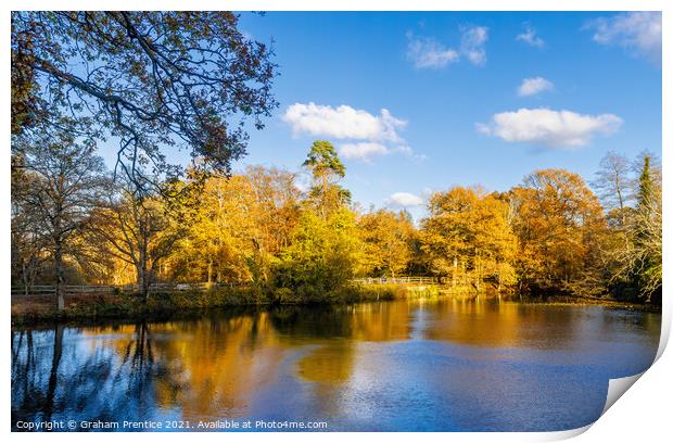 Lake in Autumn on a Sunny Day Print by Graham Prentice