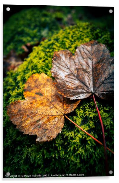 Autumn Leaves Acrylic by Gerwyn Roberts
