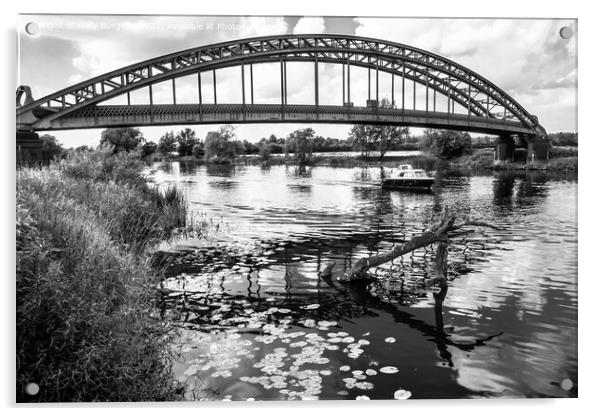 Iron Bridge Derbyshire on the Trent  Acrylic by Holly Burgess