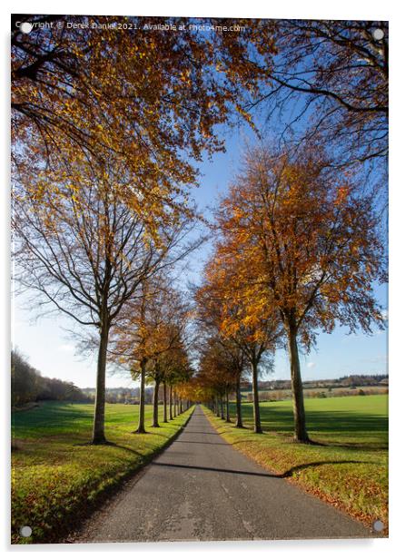 The Avenue of Trees in Autumn, Moor Crichel Acrylic by Derek Daniel