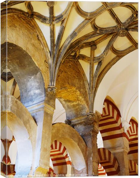 Mezquita arches Canvas Print by Dudley Wood