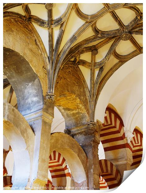 Mezquita arches Print by Dudley Wood