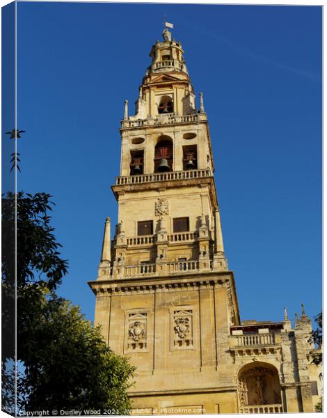 Mezquita bell tower Canvas Print by Dudley Wood