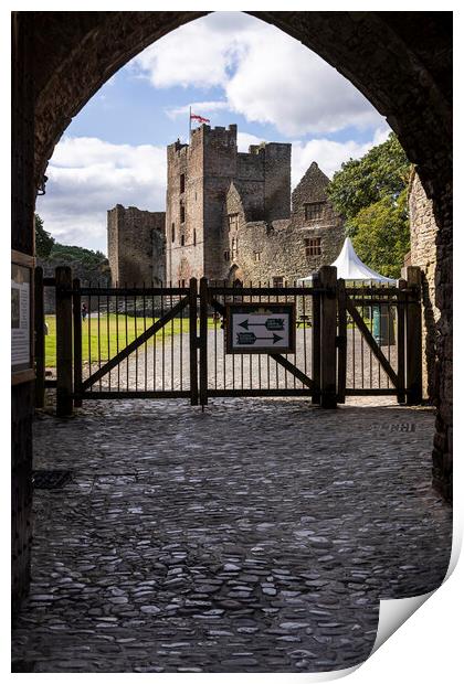 Ludlow Castle Shropshire Print by Phil Crean