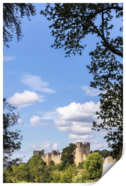 Ludlow castle Shropshire Print by Phil Crean