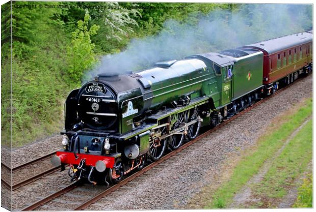 Tornado 60163 With The Pennine Explorer 3 Canvas Print by Colin Williams Photography