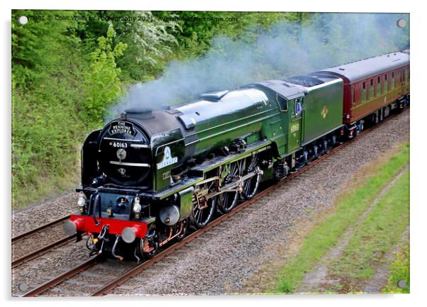 Tornado 60163 With The Pennine Explorer 3 Acrylic by Colin Williams Photography