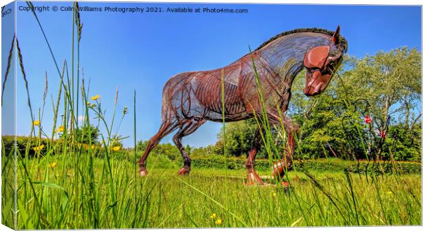 The Featherstone War Horse - 6 Canvas Print by Colin Williams Photography