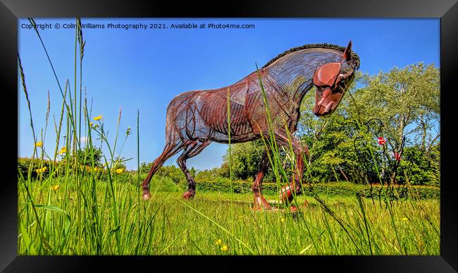 The Featherstone War Horse - 6 Framed Print by Colin Williams Photography