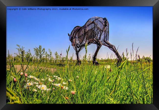 The Featherstone War Horse - 7 Framed Print by Colin Williams Photography