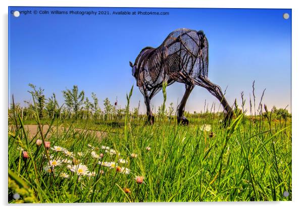 The Featherstone War Horse - 7 Acrylic by Colin Williams Photography