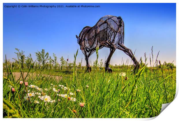 The Featherstone War Horse - 7 Print by Colin Williams Photography