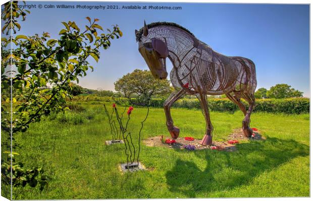 The Featherstone War Horse - 8 Canvas Print by Colin Williams Photography