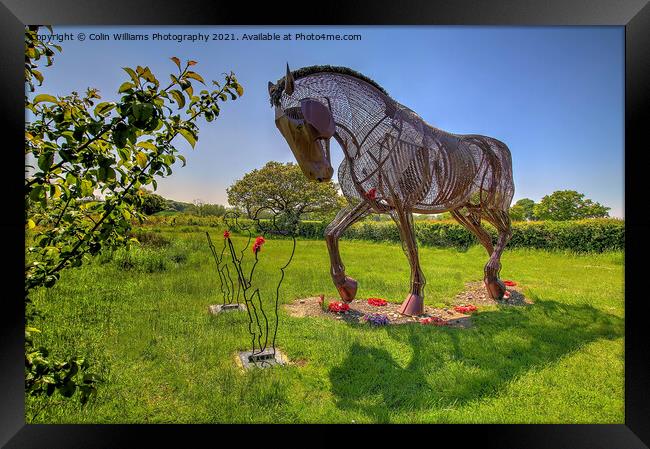 The Featherstone War Horse - 8 Framed Print by Colin Williams Photography