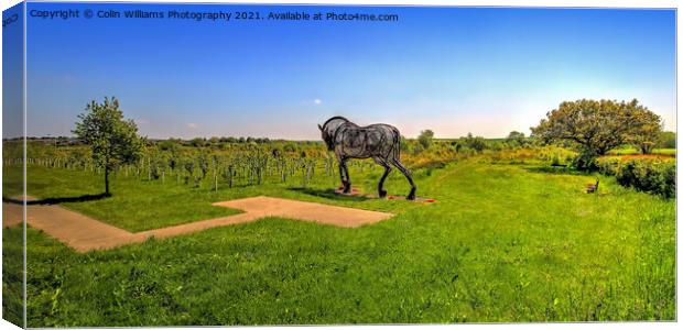 The Featherstone War Horse - 9 Canvas Print by Colin Williams Photography
