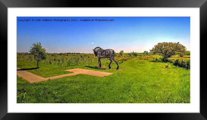 The Featherstone War Horse - 9 Framed Mounted Print by Colin Williams Photography
