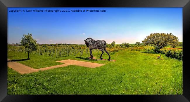 The Featherstone War Horse - 9 Framed Print by Colin Williams Photography