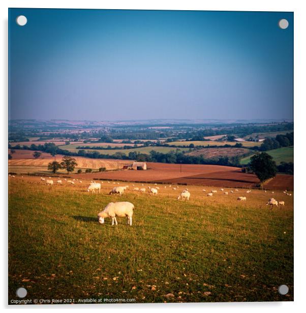 Cotswold landscape Acrylic by Chris Rose