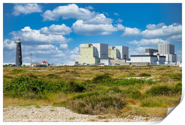 The Nuclear Power of Dungeness Print by Roger Mechan