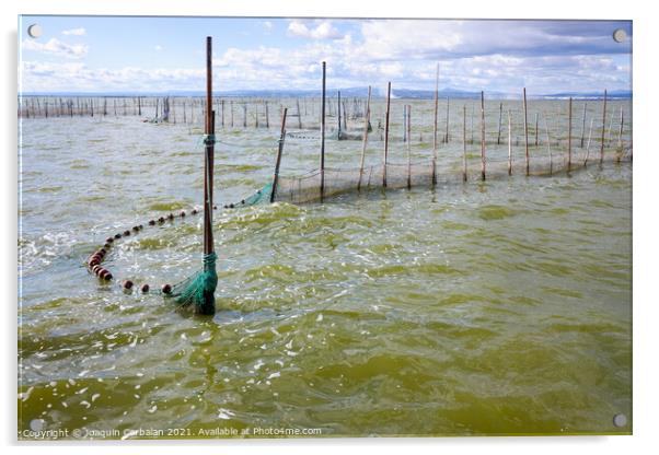 Traditional gear and fishing nets placed in the Valencia lagoon  Acrylic by Joaquin Corbalan