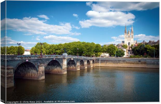 Angers, river and cathedral Canvas Print by Chris Rose