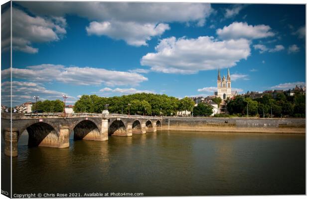 Angers, river and cathedral Canvas Print by Chris Rose