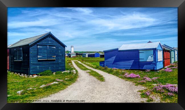 Portland Bill Huts And Lower Lighthouse Framed Print by Peter F Hunt