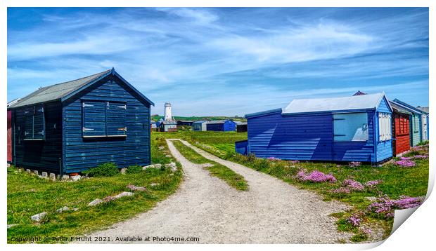 Portland Bill Huts And Lower Lighthouse Print by Peter F Hunt
