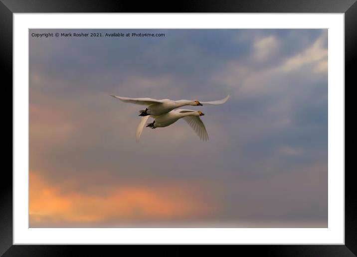 Mid-Flight Conversation Framed Mounted Print by Mark Rosher