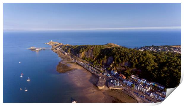Mumbles headland by drone Print by Leighton Collins