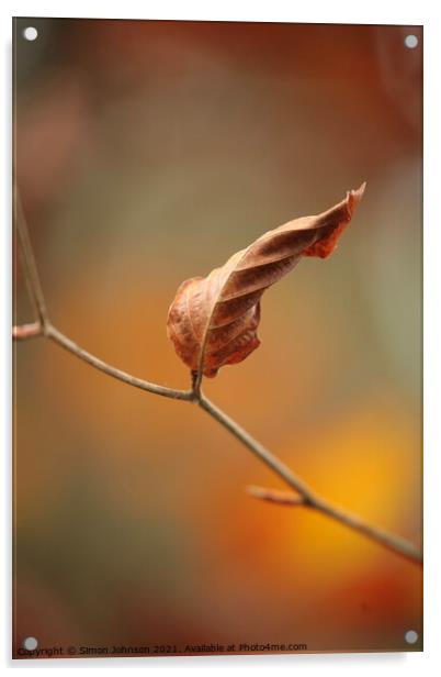 Last leaf standing Acrylic by Simon Johnson