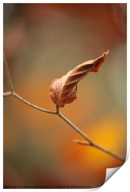 Last leaf standing Print by Simon Johnson