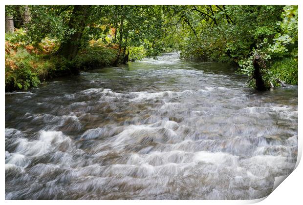 Water flowing towards Llyn Padarn Print by Jason Wells