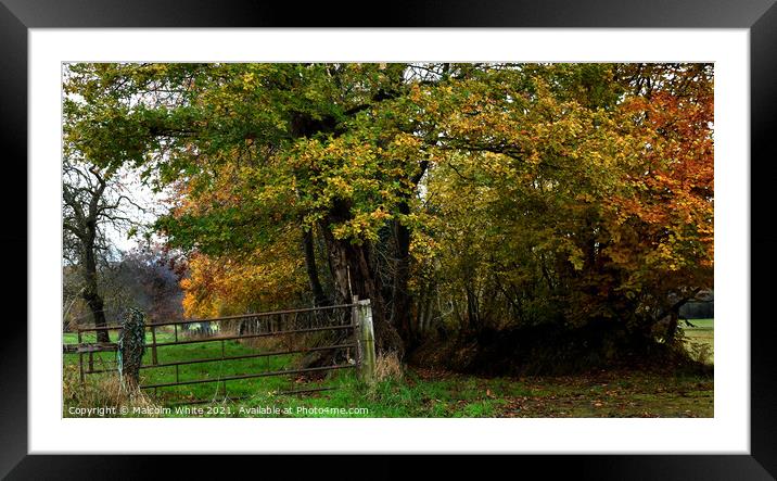 Colours of Autumn. Secluded Rural Track Framed Mounted Print by Malcolm White
