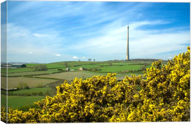 Emley Moor Mast View Canvas Print by Alison Chambers