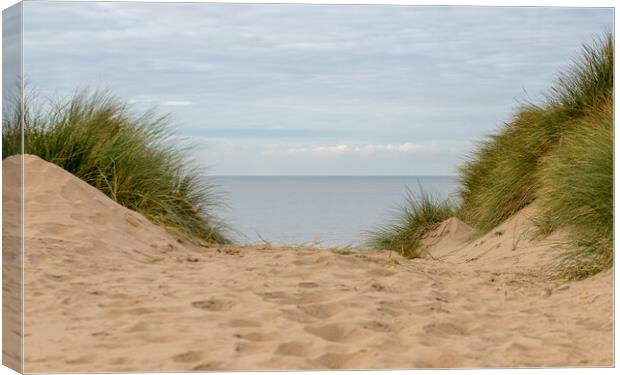 Irish Sea from the top of a sand dune Canvas Print by Jason Wells