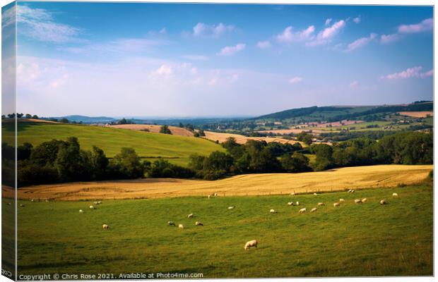 Cotswolds landscape near Winchcombe Canvas Print by Chris Rose